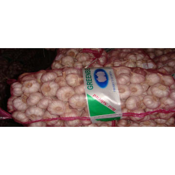 Emballage de sac à mailles Fresh White White Garlic (4.5-6.0cm)